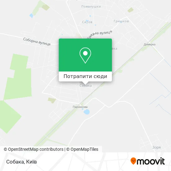 Карта Собака