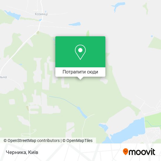 Карта Черника