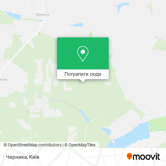 Карта Черника