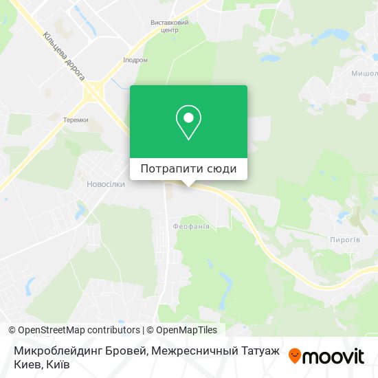 Карта Микроблейдинг Бровей, Межресничный Татуаж Киев