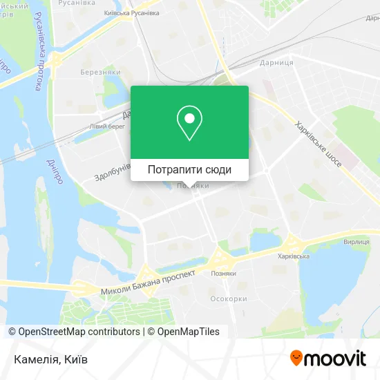 Карта Камелія