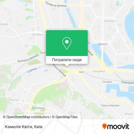 Карта Камелія Квіти