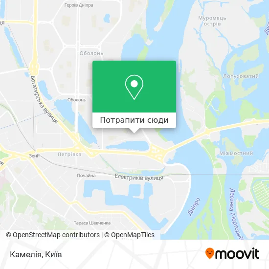 Карта Камелія