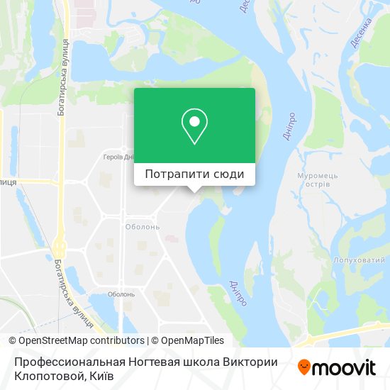Карта Профессиональная Ногтевая школа Виктории Клопотовой