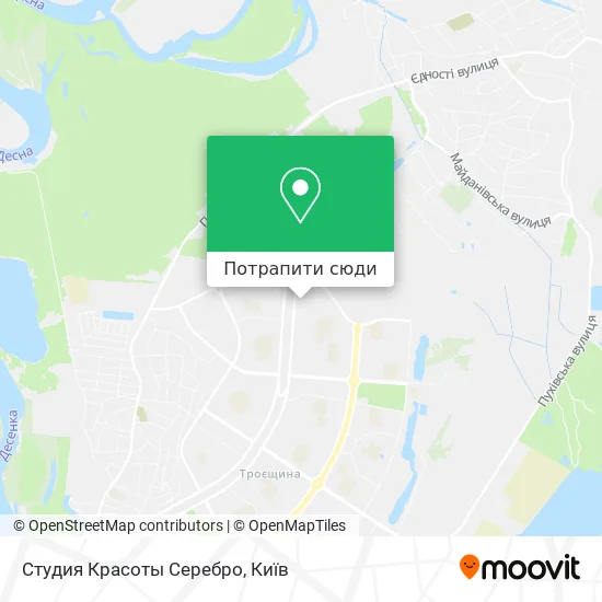 Карта Студия Красоты Серебро