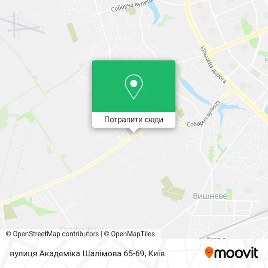 Карта вулиця Академіка Шалімова 65-69