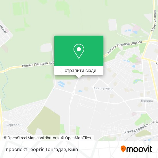 Карта проспект Георгія Гонгадзе