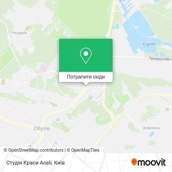 Карта Студія Краси Aneli
