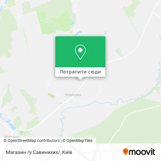 Карта Магазин /у Савинихих/