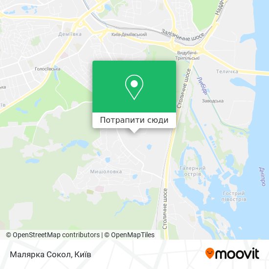 Карта Малярка Сокол