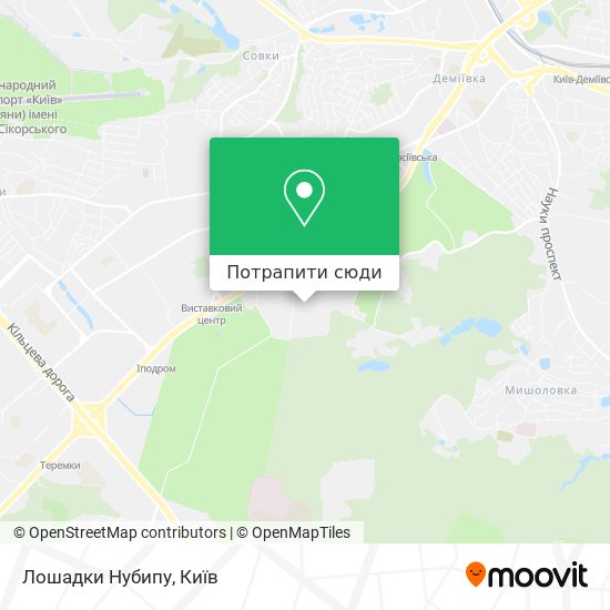 Карта Лошадки Нубипу