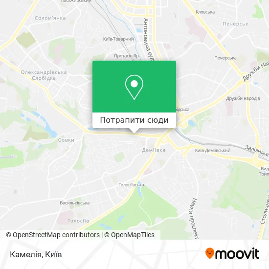 Карта Камелія