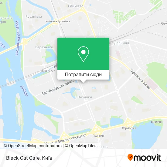 Карта Black Cat Cafe