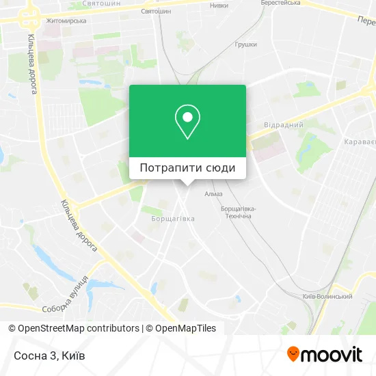 Карта Сосна 3