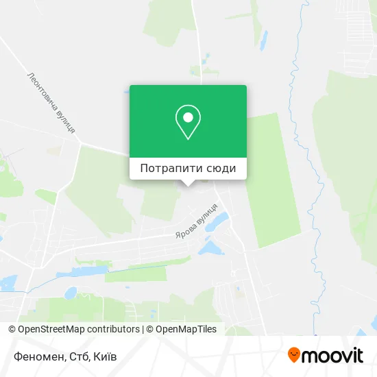 Карта Феномен, Стб