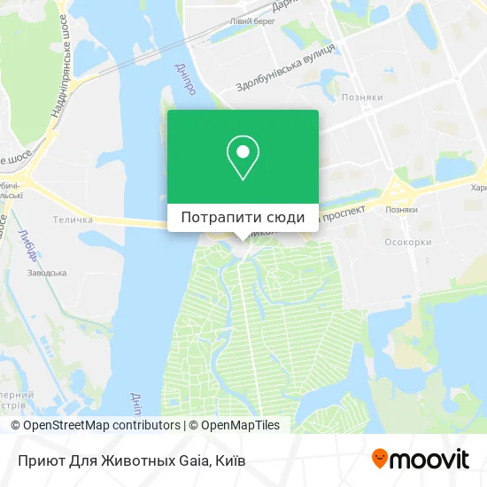 Карта Приют Для Животных Gaia