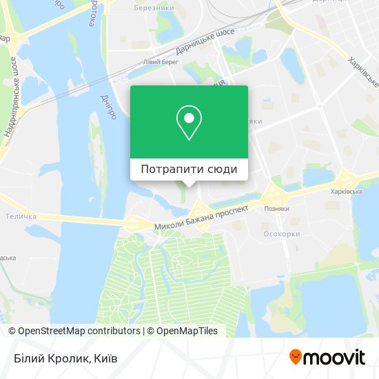 Карта Білий Кролик