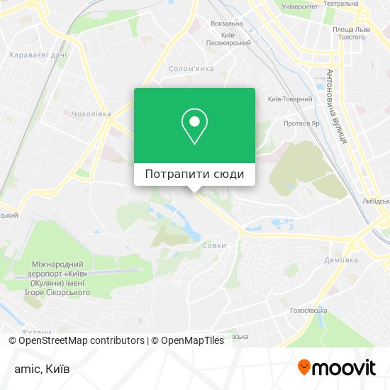 Карта amic