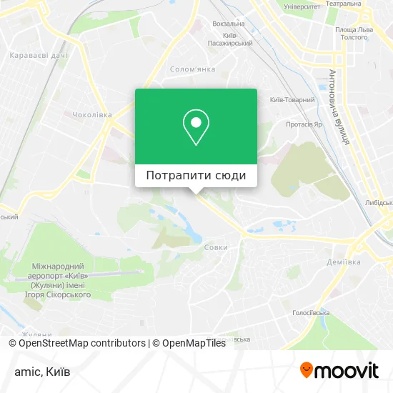 Карта amic