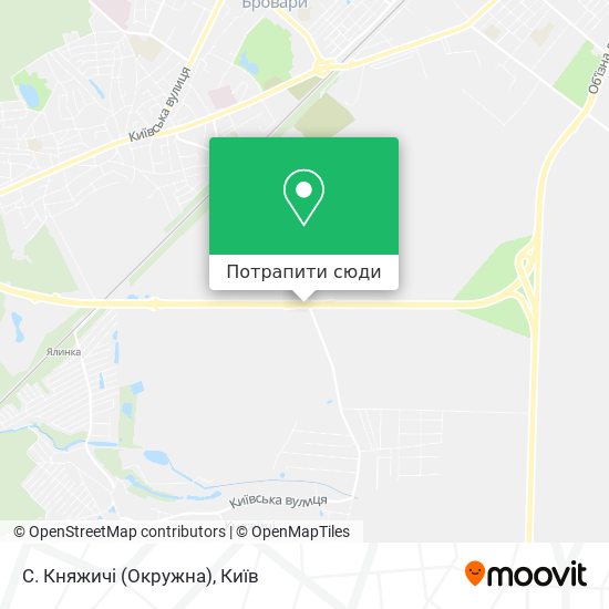 Карта С. Княжичі (Окружна)