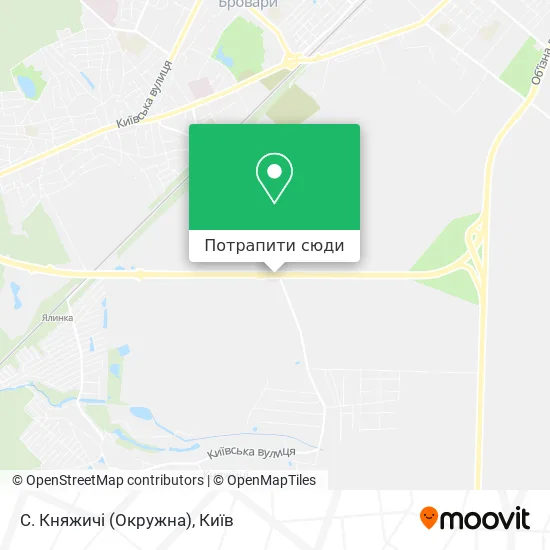 Карта С. Княжичі (Окружна)
