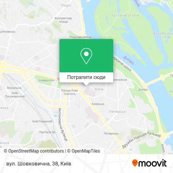 Карта вул. Шовковична, 38