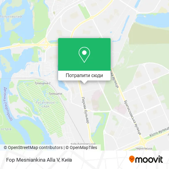 Карта Fop Mesniankina Alla V