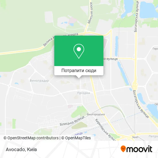 Карта Avocado