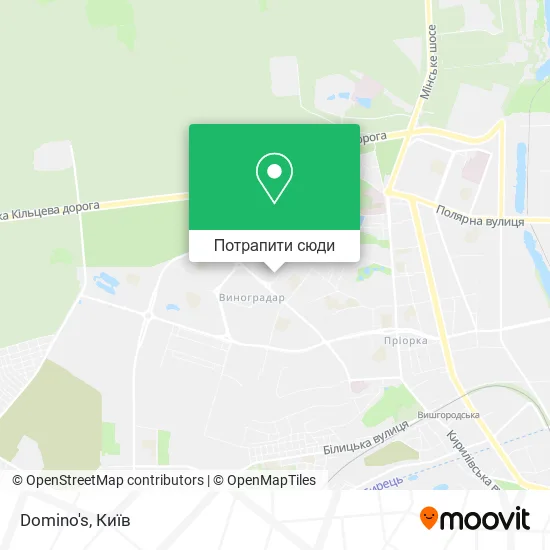 Карта Domino's