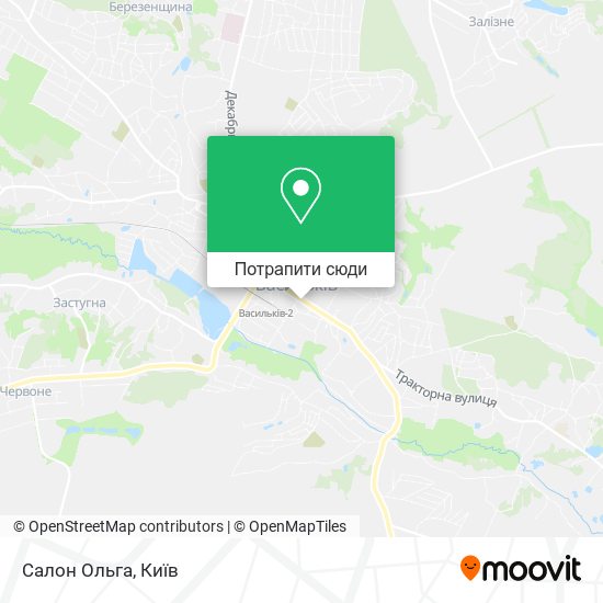 Карта Салон Ольга