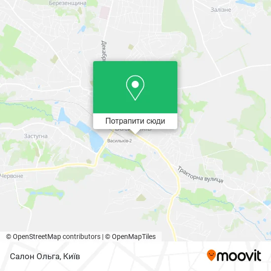 Карта Салон Ольга