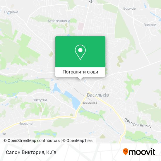 Карта Салон Виктория