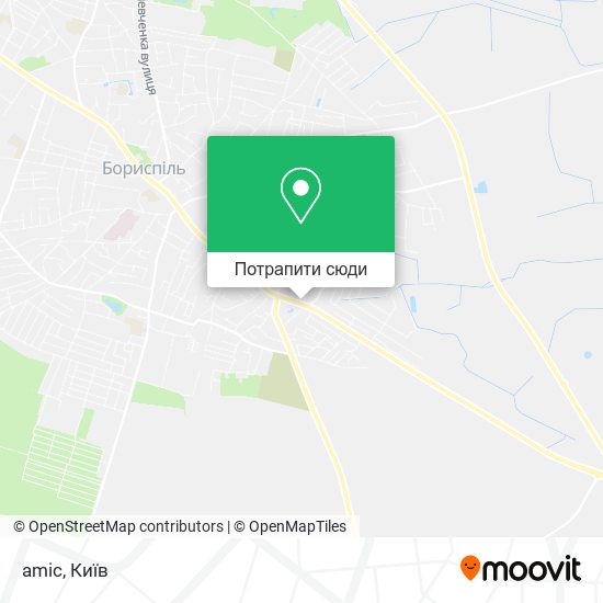 Карта amic