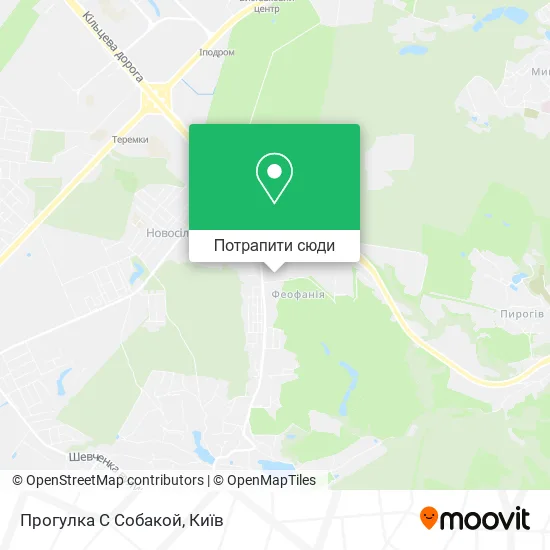 Карта Прогулка С Собакой