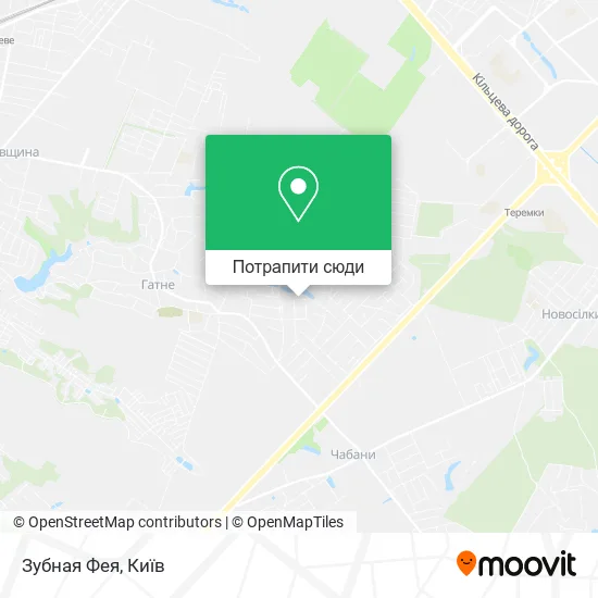 Карта Зубная Фея