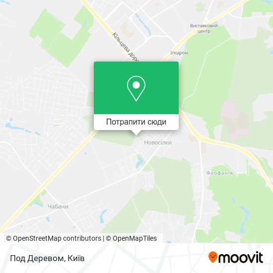 Карта Под Деревом
