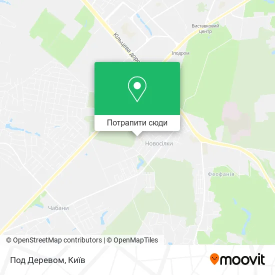 Карта Под Деревом