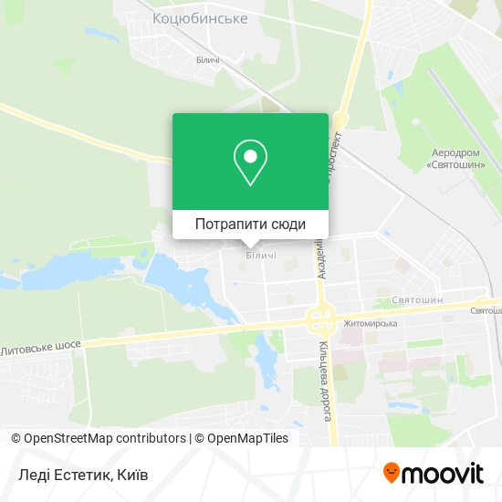 Карта Леді Естетик