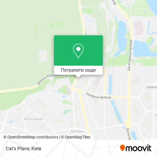 Карта Cat's Place