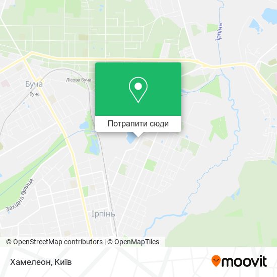 Карта Хамелеон
