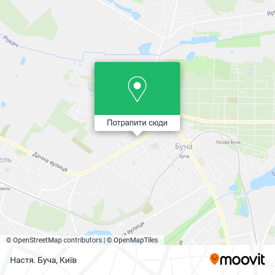 Карта Настя. Буча