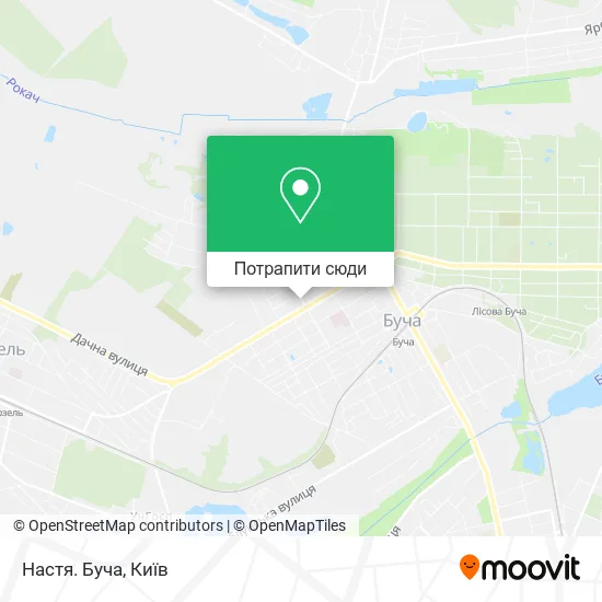 Карта Настя. Буча