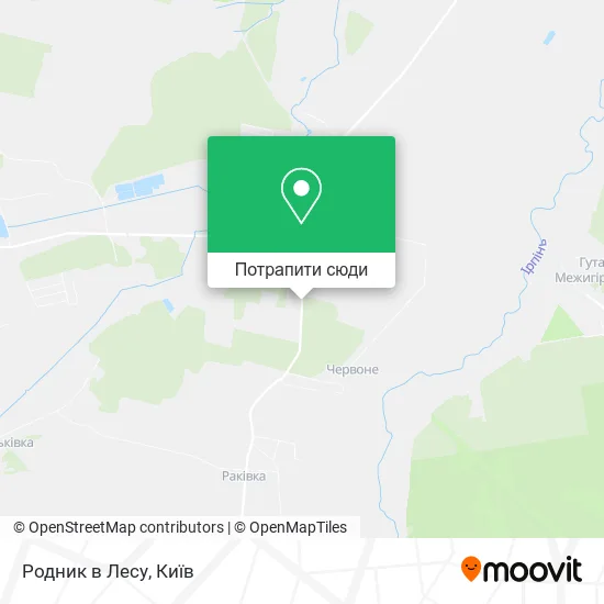 Карта Родник в Лесу