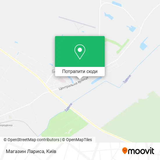 Карта Магазин Лариса