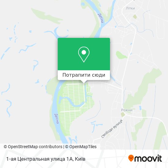 Карта 1-ая Центральная улица 1А