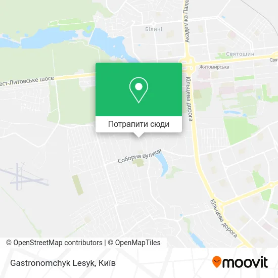 Карта Gastronomchyk Lesyk