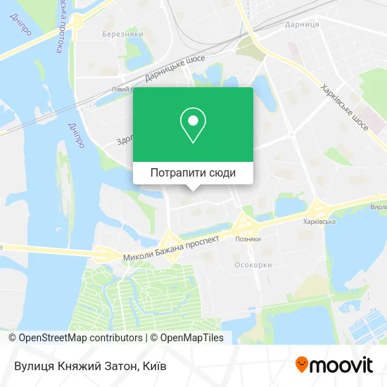 Карта Вулиця Княжий Затон