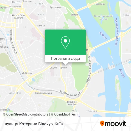 Карта вулиця Катерини Білокур