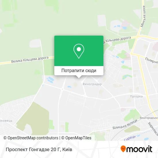 Карта Проспект Гонгадзе 20 Г