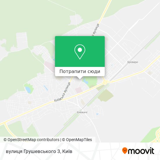 Карта вулиця Грушевського 3